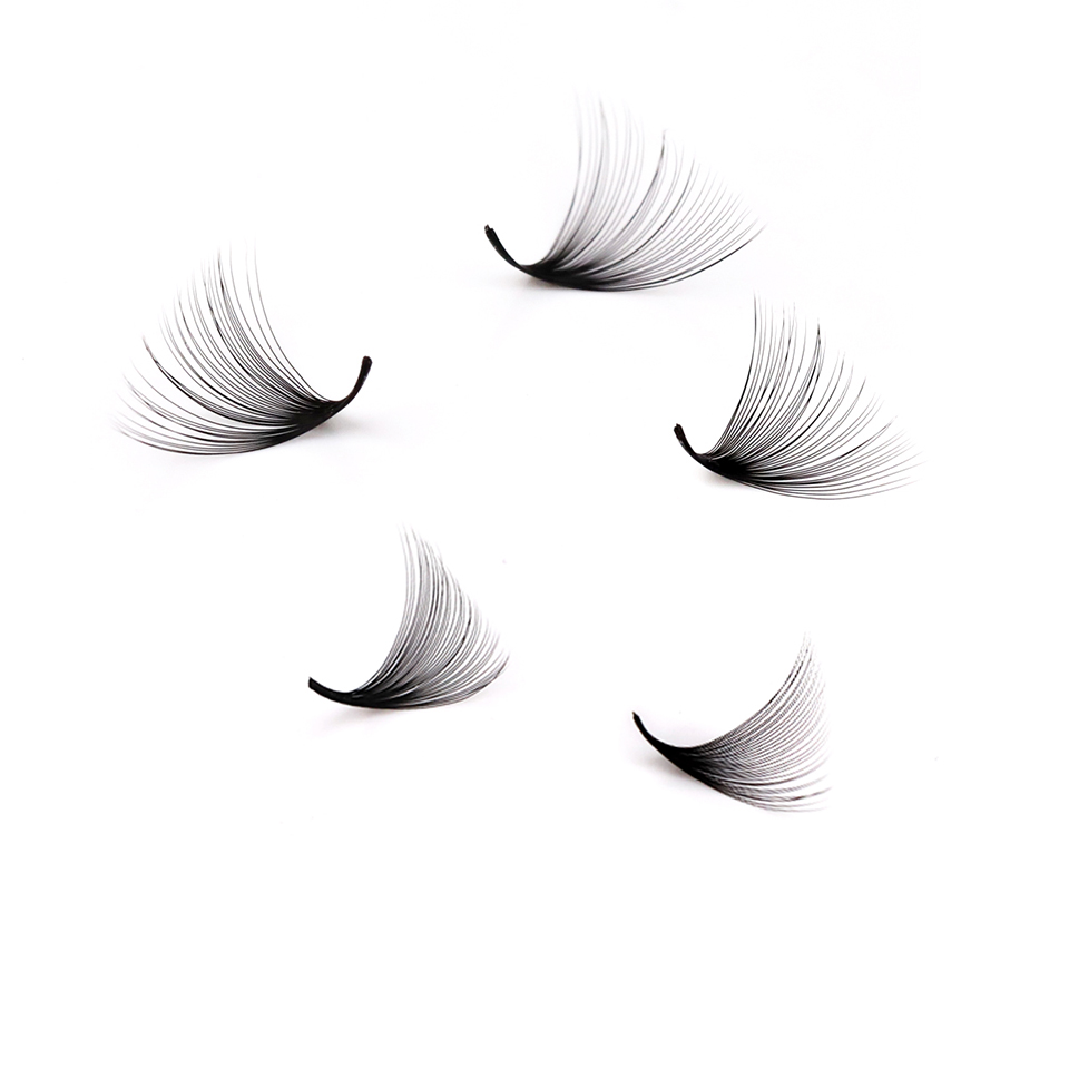 Lashprofessor XL Tray 3D 4D 5D - Eyelash Extension Russian Volume review and price