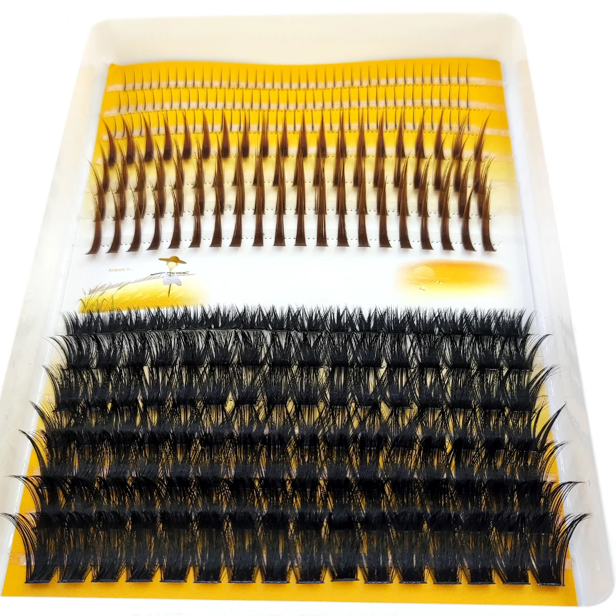 AMSDCN 60D-120D eyelash cluste - Eyelash Extension Doll Eye review and price