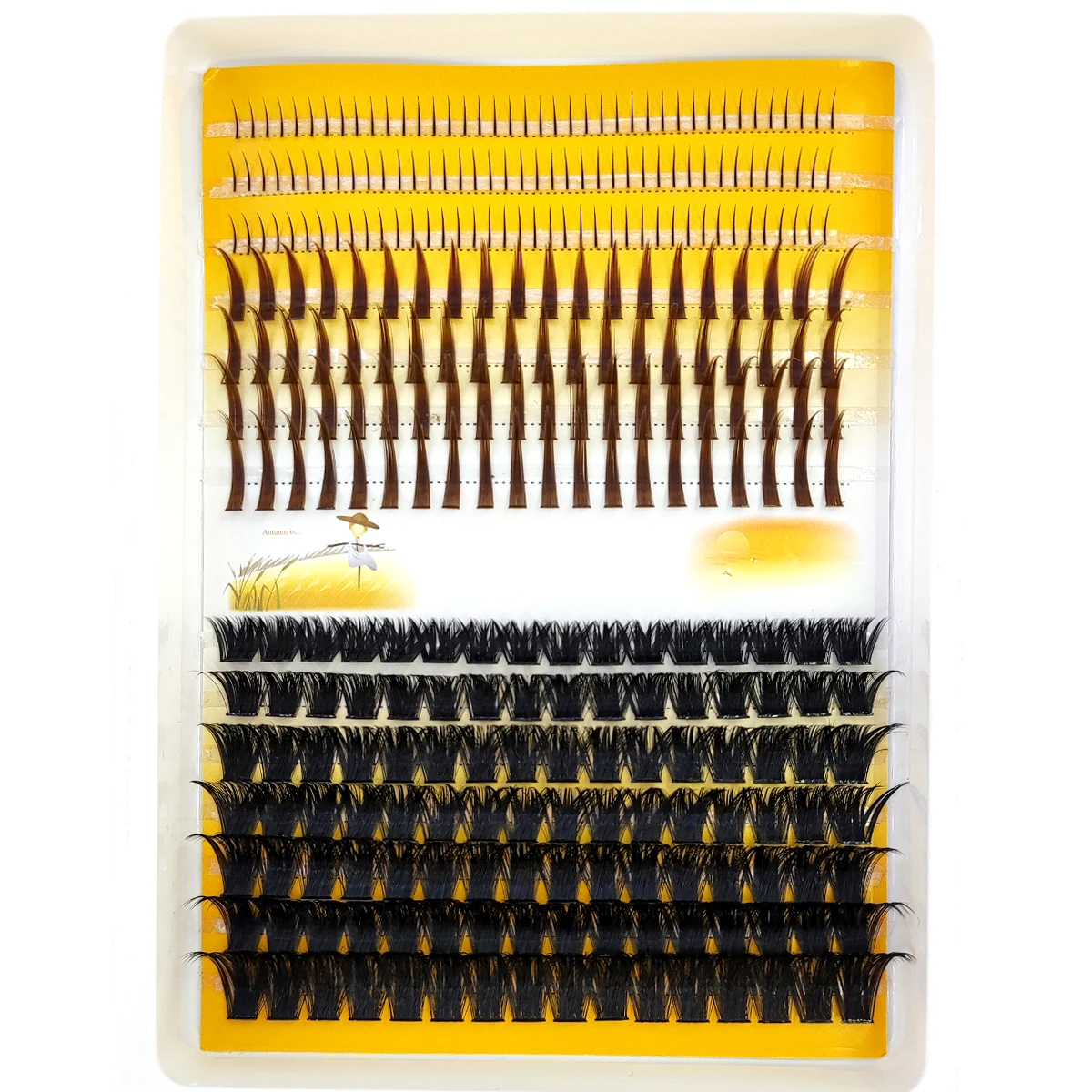 AMSDCN 60D-120D eyelash cluste - Eyelash Extension Doll Eye review and price