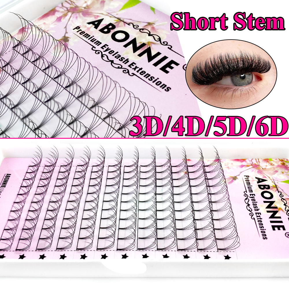 Abonnie 6D Narrow Fan Premade  - Eyelash Extension Russian Volume review and price